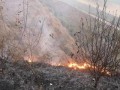 狮子山爆料视频最新,最新热点事件深度解析